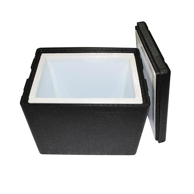 EPP Insulated Containers/box: Raw Materials, Production & Customization