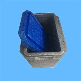EPP Insulated Containers/box: Raw Materials, Production & Customization